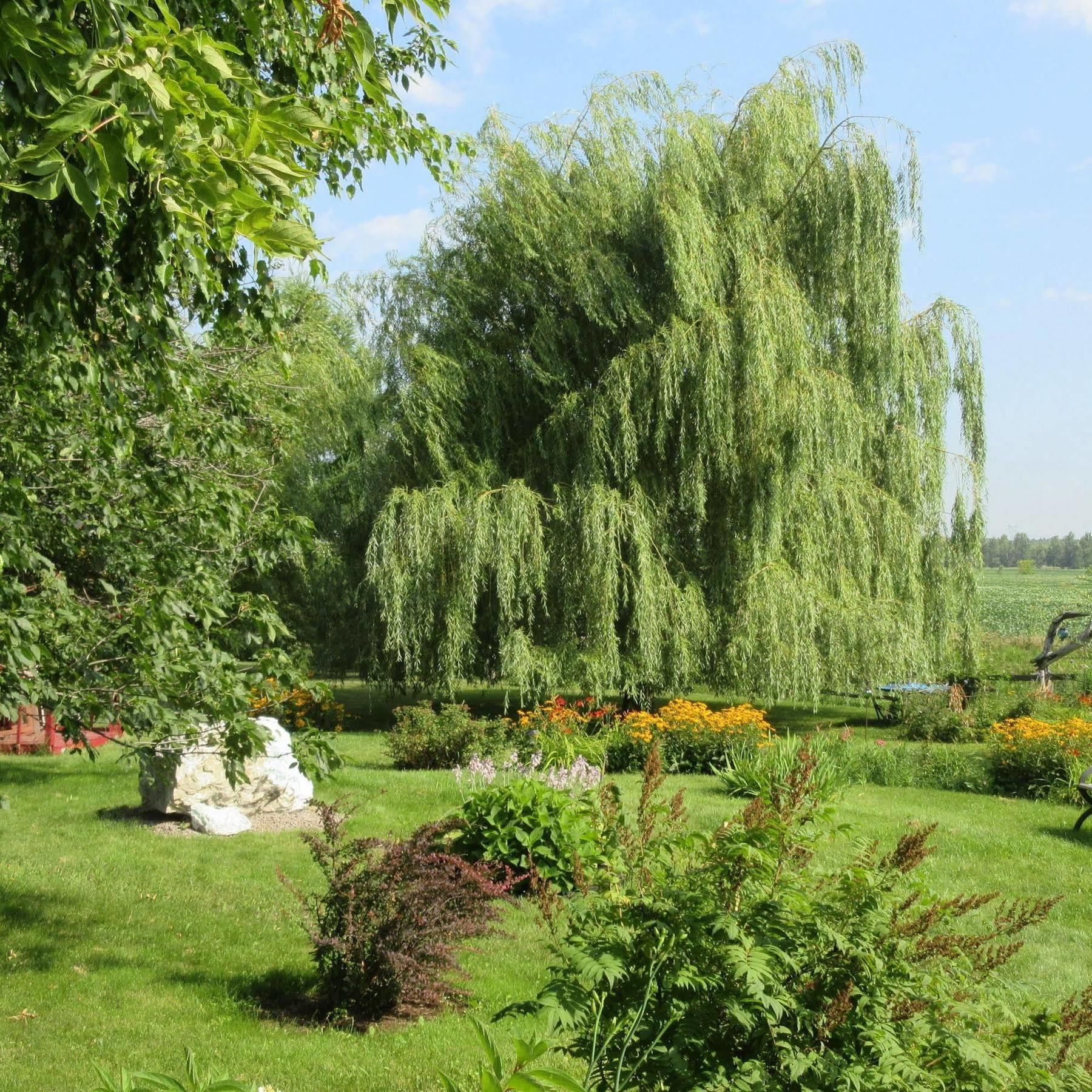 Atelier Galerie Anne Drouin Peinture & Pension Sainte-Julie Экстерьер фото